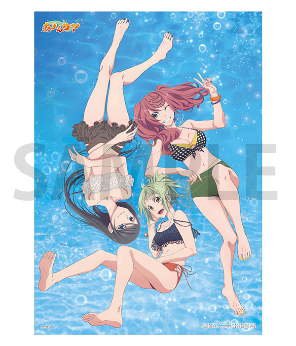 アニメイト(通販含む)