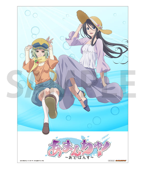 ゲーマーズ(通販含む)