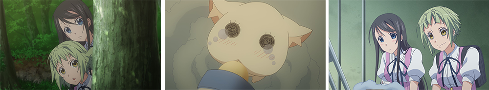 第11話　猫と子猫のコト