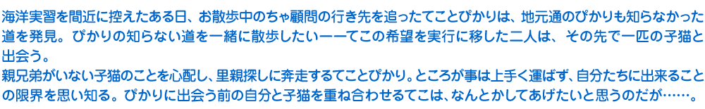 海洋実習を間近に控えたある日、お散歩中のちゃ顧問の行き先を追ったてことぴかりは、地元通のぴかりも知らなかった道を発見。ぴかりの知らない道を一緒に散歩したいーーてこの希望を実行に移した二人は、その先で一匹の子猫と出会う。
　親兄弟がいない子猫のことを心配し、里親探しに奔走するてことぴかり。ところが事は上手く運ばず、自分たちに出来ることの限界を思い知る。ぴかりに出会う前の自分と子猫を重ね合わせるてこは、なんとかしてあげたいと思うのだが……。