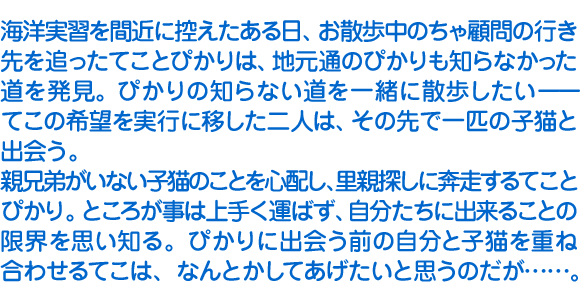 海洋実習を間近に控えたある日、お散歩中のちゃ顧問の行き先を追ったてことぴかりは、地元通のぴかりも知らなかった道を発見。ぴかりの知らない道を一緒に散歩したいーーてこの希望を実行に移した二人は、その先で一匹の子猫と出会う。
　親兄弟がいない子猫のことを心配し、里親探しに奔走するてことぴかり。ところが事は上手く運ばず、自分たちに出来ることの限界を思い知る。ぴかりに出会う前の自分と子猫を重ね合わせるてこは、なんとかしてあげたいと思うのだが……。