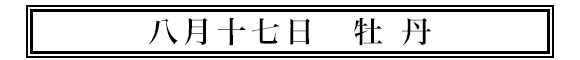 八月十七日牡丹