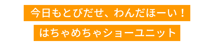 今日もとびだせ、わんだほーい！はちゃめちゃショーユニット